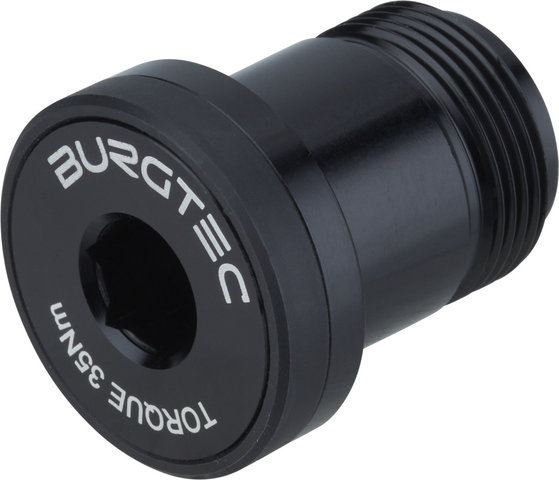 Burgtec Sram T-Type Derailleur Bolt - Bolt 1 - black