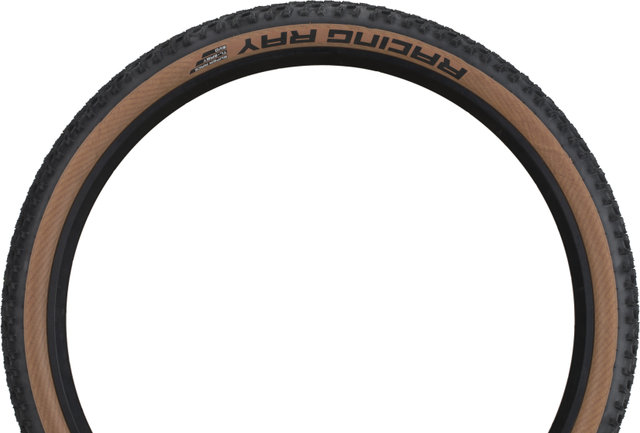 Schwalbe Pneu Souple Racing Ray Evolution ADDIX Speed Super Race 29" - noir-transparent skin/29 /60 /60-622/2.35 
