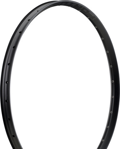 Hope Fortus 35 Disc 29" Rim - black/32/29"