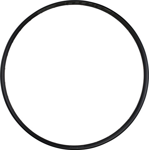 Hope Fortus 35 Disc 29" Rim - black/32/29"