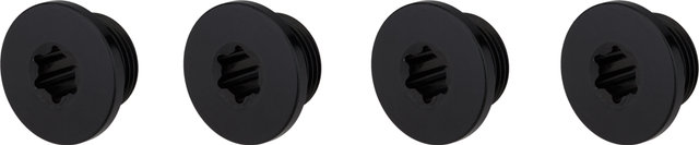 Campagnolo Tornillos de plato Ekar - negro