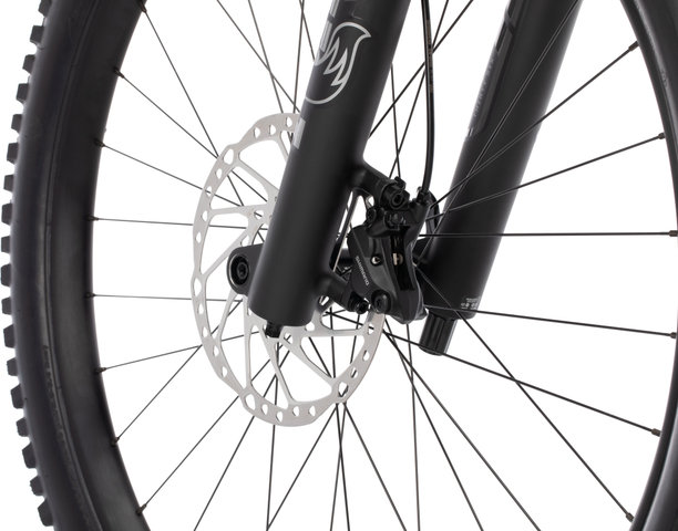 Orbea RISE LT M20 29" E-Mountainbike - carbon raw | 160 mm | 29" | L | 44 mm