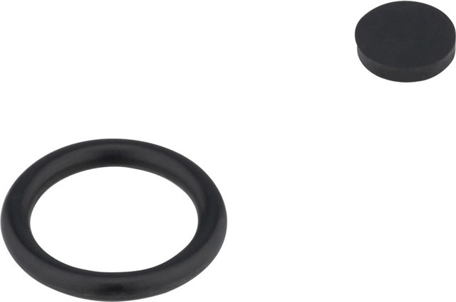 SKS Manomètre pour Airstep - universal