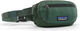 Patagonia Riñonera Terravia Mini Hip Pack - canopy green