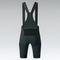 GOBIK Grit 3.0 Bib Shorts Trägerhose - pinewood | M