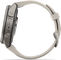 Garmin fēnix 9 Pro – inReach AMOLED Titanium 43 mm Multisport Smartwatch - 