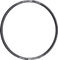 DT Swiss R 500 DB Disc Road Felge - schwarz/28/28"