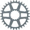 e*thirteen Helix R Guidering Direct Mount Kettenblatt - grey/32 Z
