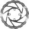 Brake Rotor Rohloff 4-Bolt - silver/180 mm