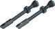 Peaty's Chris King Edition MK2 Tubeless Ventil 2er-Set - slate/SV 60 mm