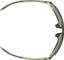 Alpina Swift Sports Glasses - green transparent gloss | mirror gold