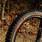 Vittoria Pneu pliable Mostro Trail TLR 29" - noir-brun | 29 | 2.4 | 60-622
