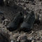 adidas Outdoor TERREX Skychaser AX5 GTX Wanderschuhe - core black-core black-carbon | 42 | 8