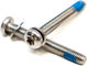 PAUL Vis de fixation Flat Mount arriere - silver | 20 mm