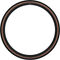 Schwalbe Pneu Souple G-One Allround Performance ADDIX RaceGuard 28" - noir-bronze skin/40-622 (700x40C)