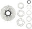 Shimano 105 CS-R7101-12 12-speed Cassette - silver/11-34