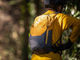 evoc Mochila Ride 8 - loam-carbon grey/8000 