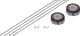 bc basic Mountain Deore Center Lock Disc DT 533 29" Boost/Non-Boost Wheelset - schwarz | Shimano Micro Spline | Boost | 142 mm | 110 mm | 29" | 110 mm | Shimano Micro Spline | 110 mm | 142 mm | Non Boost