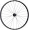 BEAST Components TR30 Disc 6-Loch Boost Carbon 29" Laufradsatz - UD Carbon-schwarz/Shimano Micro Spline/Boost/148 mm/110 mm/Boost/29"/110 mm/Shimano Micro Spline/110 mm/148 mm