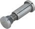 Replacement Screw for 1A Stem - silver/universal