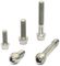 Titanium Bolt - silver/5x14mm