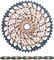 SRAM XX1 Eagle XG-1299 Cassette + PC XX1 Eagle Chain 12-speed Wear Kit - copper - XX1 rainbow/10-52