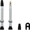 Válvula tubeless en set de 2 - plata/SV 60 mm