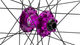 Hope Juego de ruedas Pro 4 + Fortus 30 Disc 6 agujeros 29" Boost - purple black | SRAM XD | Boost | 148 mm | 110 mm | Boost | 29" | 110 mm | SRAM XD | 110 mm | 148 mm