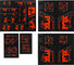 Heritage Fork and Shock Decal Kit up to Model 2020 - DigiCam/universal