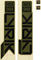 RockShox Set de calcomanías Decal Kit para Lyrik Ultimate desde Modelo 2023 - gloss green-gloss black