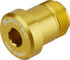 Burgtec SRAM T-Type Derailleur Bolt – Bolt 2 - bullion gold