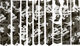 Autocollants Protège-Cadre Frame Guard Total - camo/universal