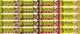 Oat Bar Energy Bar - 20 Pack - mixed/1000 g