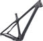 Kit de Cadre ARC TURQ Carbon 29" - raw-grey/L