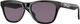 Oakley Frogskins XXS Kids Sunglasses - polished black/prizm grey