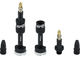 Quick Fill Tubeless Valve - 2 Pack - black/SV 23-30 mm