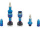 Quick Fill Tubeless Valve - 2 Pack - intergalactic/SV 19-23 mm