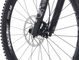 Vélo Tout-Terrain SB130 C2 Carbone C/Series 29" - raw-grey/L