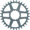 Helix R Guidering Direct Mount Chainring - grey/32 tooth