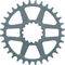 e*thirteen Helix R Guidering Direct Mount Chainring - grey/32 tooth