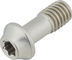 77designz Vis en Titane Ti Bolt - natural/M6x15