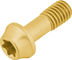 Ti Bolt Titanschraube - gold/M5x14