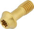 77designz Ti Bolt Titanium Bolt - gold/M6x15