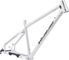 Nicolai Argon GAM Frame - factory raw/L