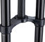 Formula Horquilla de suspensión Nero C Coil 29" Boost - negro/50 mm/29"/1 1/8"/eje pasante de 20 mm/110 mm/200 mm