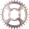 Burgtec Hope Boost Direct Mount Thick Thin Chainring - rhodium silver/32 