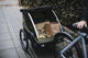 Thule Remolque para niños Courier - vintage green | 20"