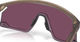 Oakley Gafas BXTR - matte brown smoke | prizm road black