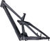 RAAW Mountain Bikes Yalla! 29" Frameset w/ Fox DHX2 HSC/LSC HSR/LSR Factory - matte black/L, 500 lbs