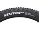 Goodyear Pneu Souple Newton MTF Trail Tubeless Complete 29" - black/29x2,5